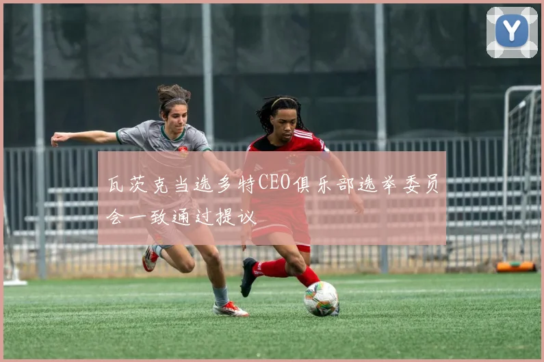 瓦茨克当选多特CEO俱乐部选举委员会一致通过提议