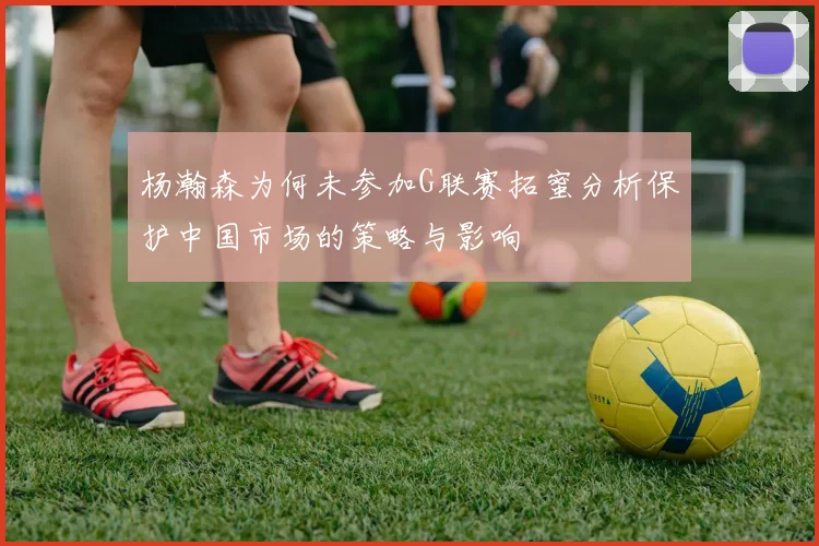杨瀚森为何未参加G联赛拓蜜分析保护中国市场的策略与影响