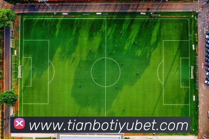 天博体育平台生态图